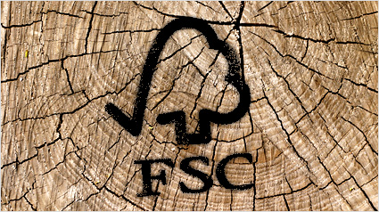 FSC sistemi kurma